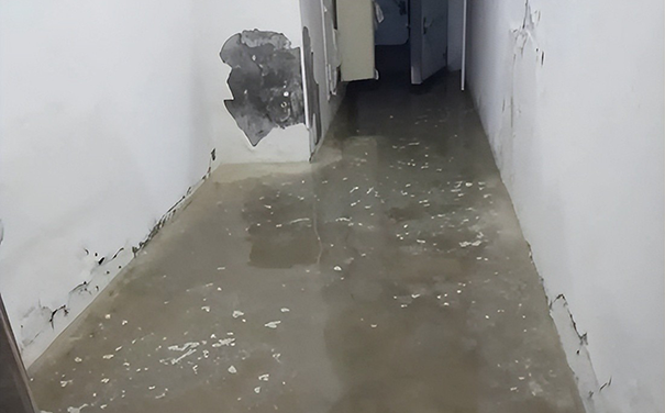 防霉涂料與乳膠漆區別在哪里?