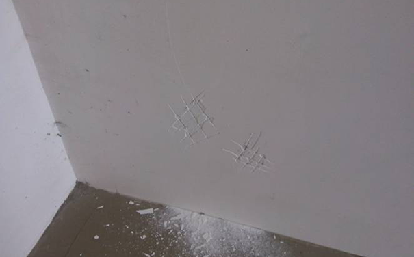 外墻膩子能用在內墻嗎?